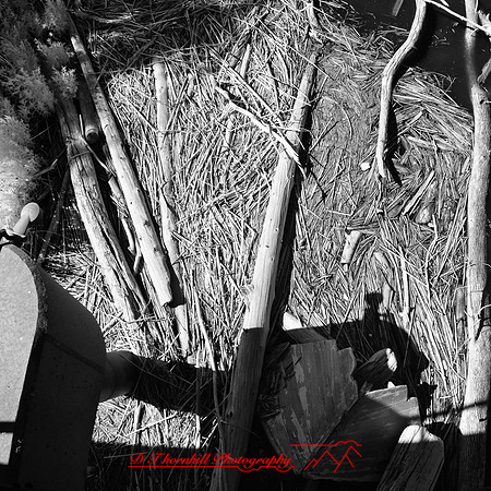 bay_city_infrared-images_2012-017