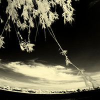 bay_city_infrared-images_2012-019-nas