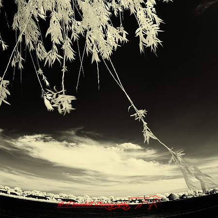 bay_city_infrared-images_2012-019-nas