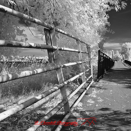 bay_city_infrared-images_2012-021