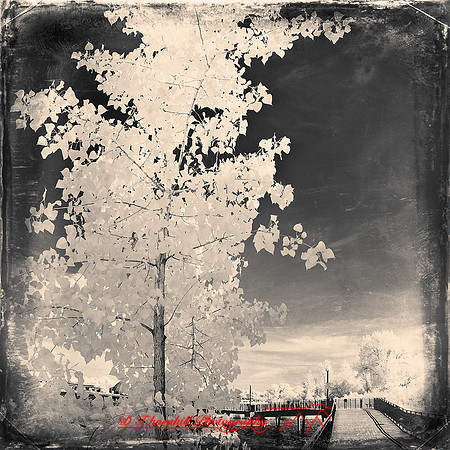 bay_city_infrared-images_2012-022-nas