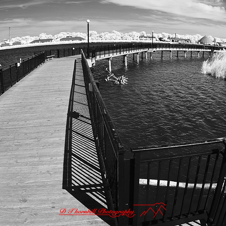 bay_city_infrared-images_2012-023