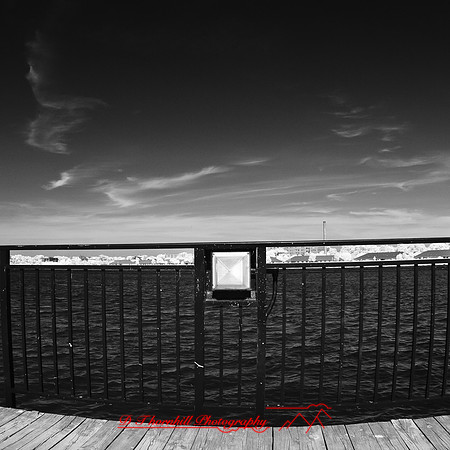 bay_city_infrared-images_2012-024