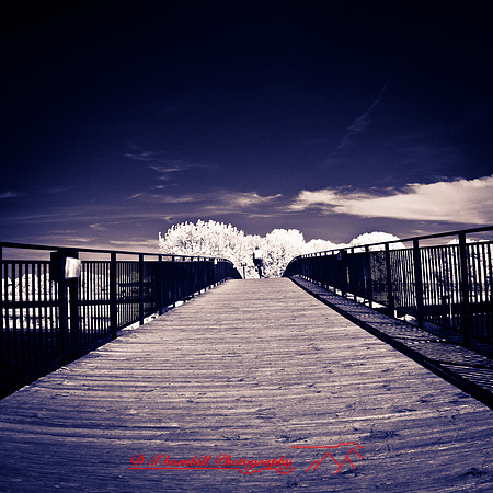 bay_city_infrared-images_2012-025