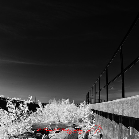 bay_city_infrared-images_2012-027