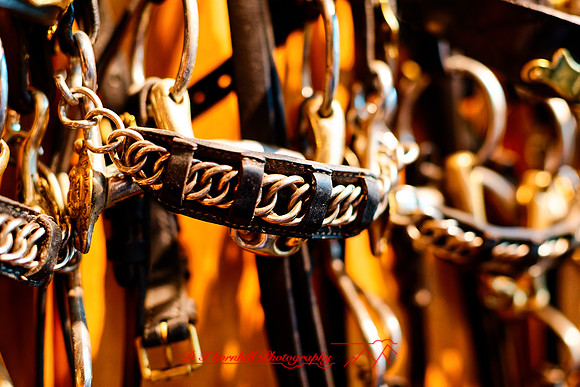 2025 - river cruise - 270_DxO