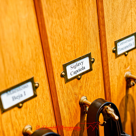 2025 - river cruise - 272_DxO