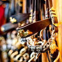 2025 - river cruise - 268_DxO