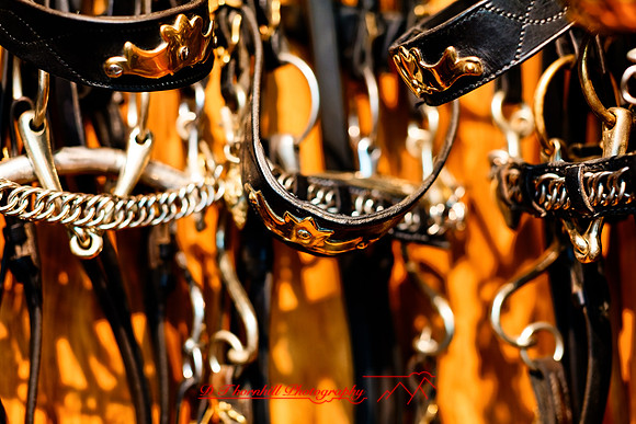 2025 - river cruise - 269_DxO