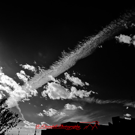 bay_city_infrared-images_2012-071