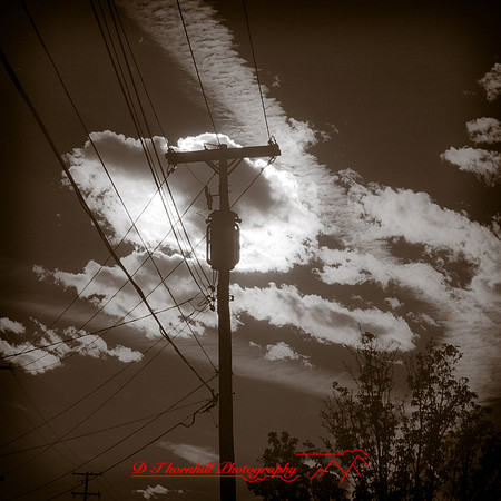 bay_city_infrared-images_2012-072