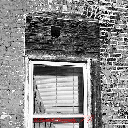 bay_city_infrared-images_2012-075