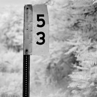 bay_city_infrared-images_2012-039