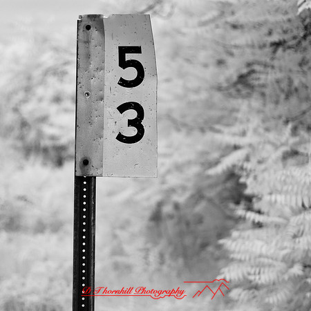 bay_city_infrared-images_2012-039
