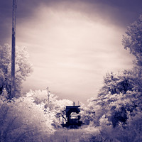 bay_city_infrared-images_2012-041