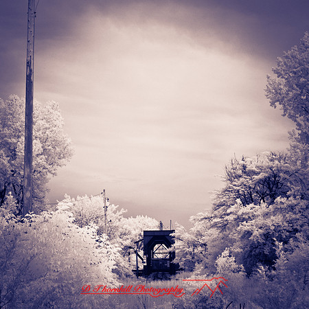 bay_city_infrared-images_2012-041