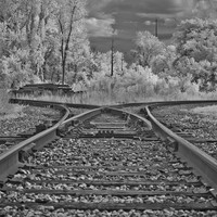 bay_city_infrared-images_2012-043