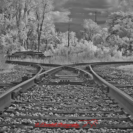 bay_city_infrared-images_2012-043
