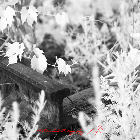 bay_city_infrared-images_2012-046