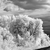 bay_city_infrared-images_2012-047