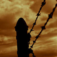 bay_city_infrared-images_2012-048