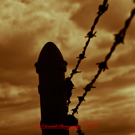 bay_city_infrared-images_2012-048