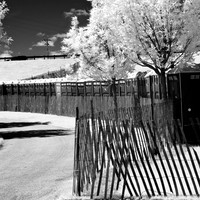 bay_city_infrared-images_2012-049