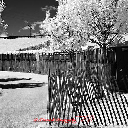 bay_city_infrared-images_2012-049
