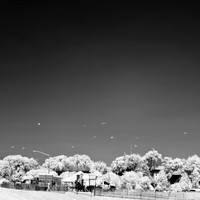 bay_city_infrared-images_2012-054