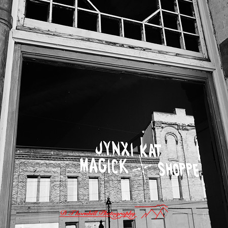 bay_city_infrared-images_2012-061