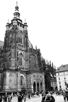 2025 - river cruise - 532
