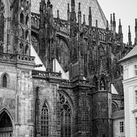 2025 - river cruise - 536