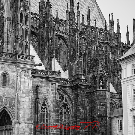 2025 - river cruise - 536