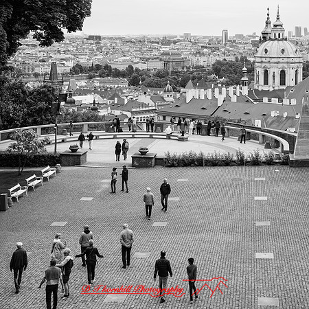 2025 - river cruise - 538