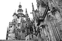 2025 - river cruise - 539
