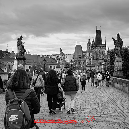 2025 - river cruise - 524