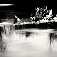 shadow-light-project-river-ice-2014-009-nas