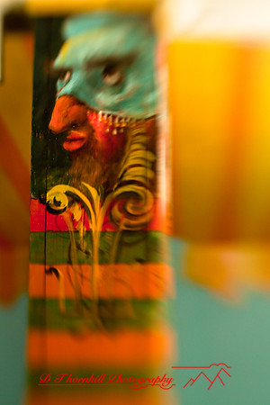 florida-2009-images_31.jpg
