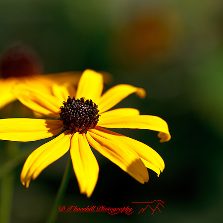nature-images_2012-009
