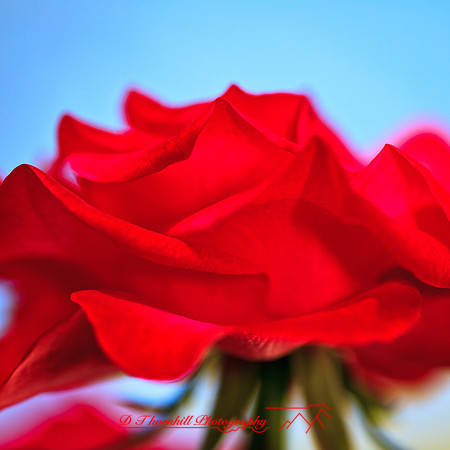 nature-images_2012-014