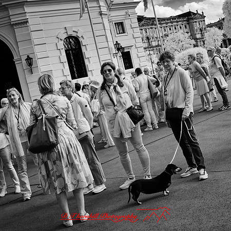 2025 - river cruise - 618_DxO