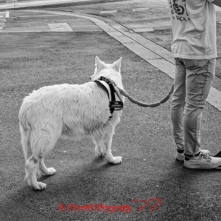 2025 - river cruise - 621_DxO