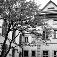 2025 Prague Walk About #2