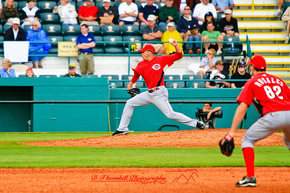 florida-2008-sports_28.jpg