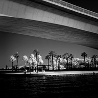 FL-March 2018-029_DxO