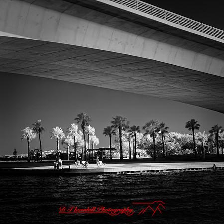 FL-March 2018-029_DxO