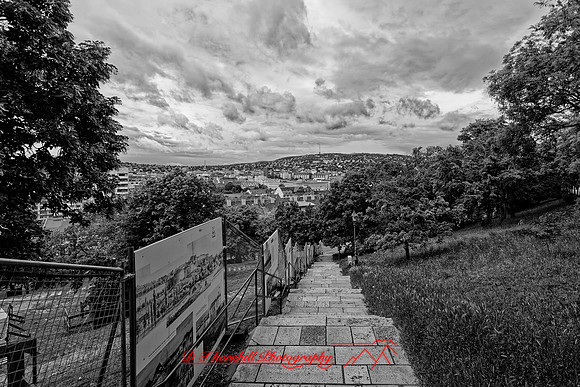 2025 - river cruise - 630_DxO