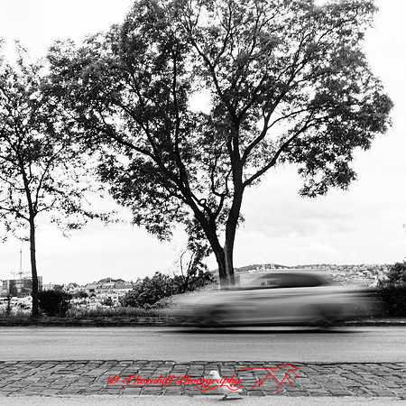 2025 - river cruise - 632_DxO