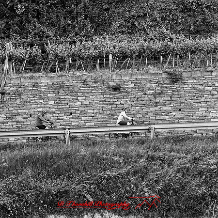 2025 - river cruise - 638_DxO