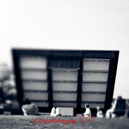 assorted-images_2013-027